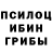 Псилоцибиновые грибы Psilocybine cubensis HeavyMetal1488