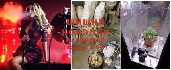 spice Новокубанск