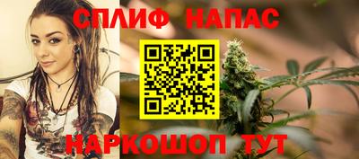 метадон Гай