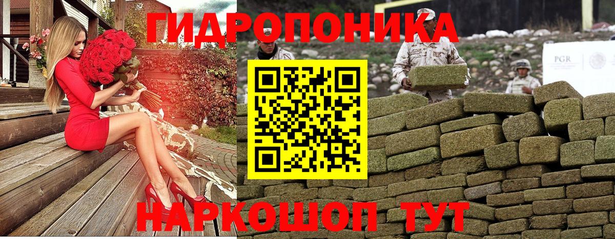 МАРИХУАНА конопля Брянск